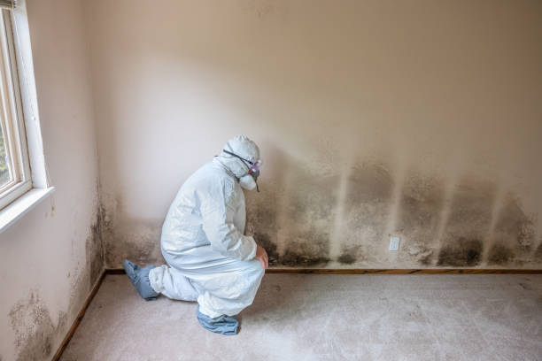 Mold Remediation for Rental Properties in Rockwell Place, TX